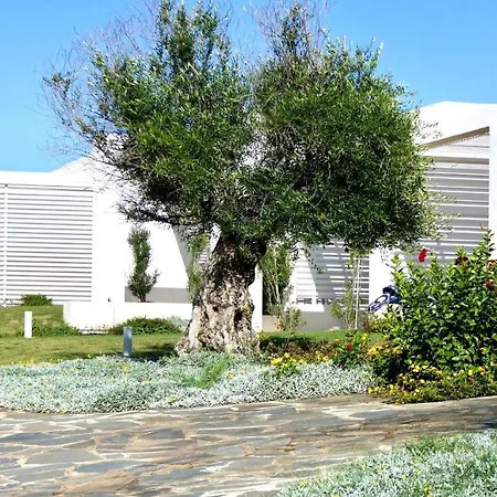 Con Piscina A 250 Mt Dalla La Pelosa Διαμέρισμα Stintino