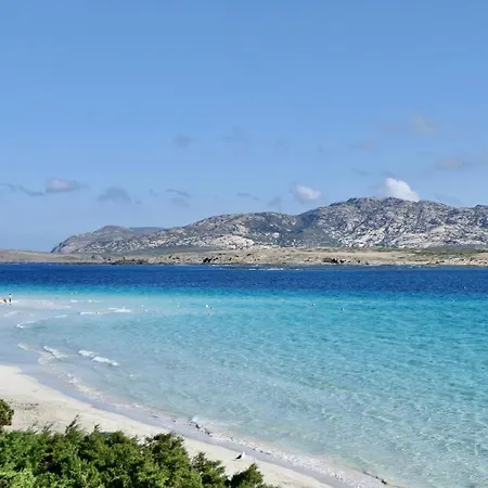 Con Piscina A 250 Mt Dalla La Pelosa *