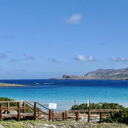 Con Piscina A 250 Mt Dalla La Pelosa Appartement *