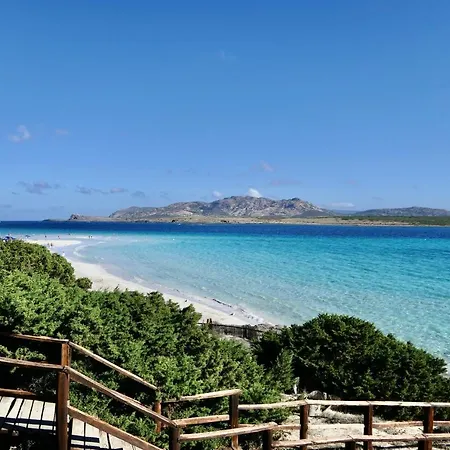 Apartment Con Piscina A 250 Mt Dalla La Pelosa Stintino