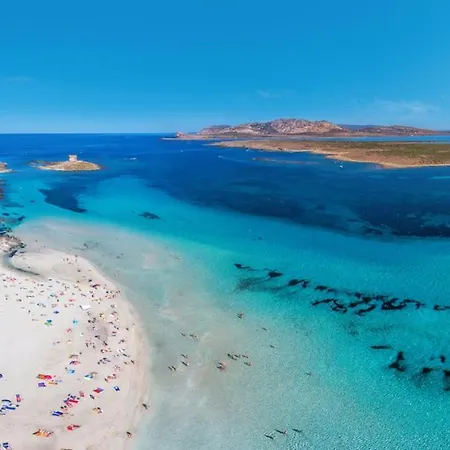 Con Piscina A 250 Mt Dalla La Pelosa Stintino